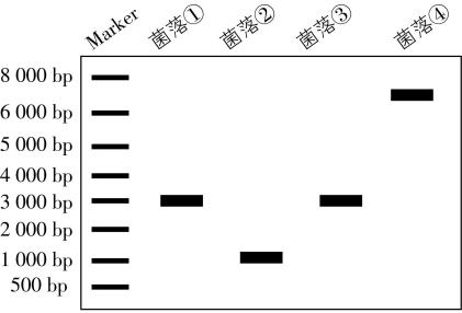 试题资源网 https://stzy.com