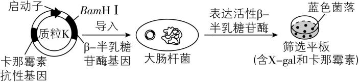 试题资源网 https://stzy.com