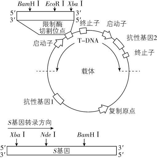 试题资源网 https://stzy.com