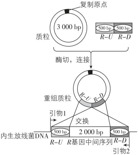 试题资源网 https://stzy.com