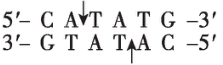 试题资源网 https://stzy.com