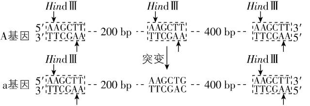 试题资源网 https://stzy.com