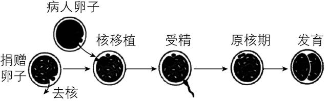 试题资源网 https://stzy.com