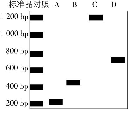 试题资源网 https://stzy.com