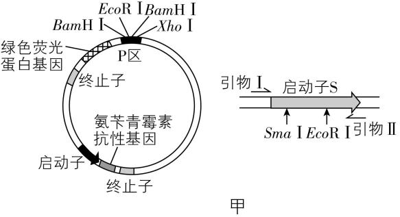 试题资源网 https://stzy.com