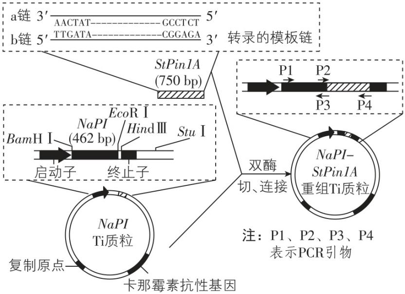 试题资源网 https://stzy.com