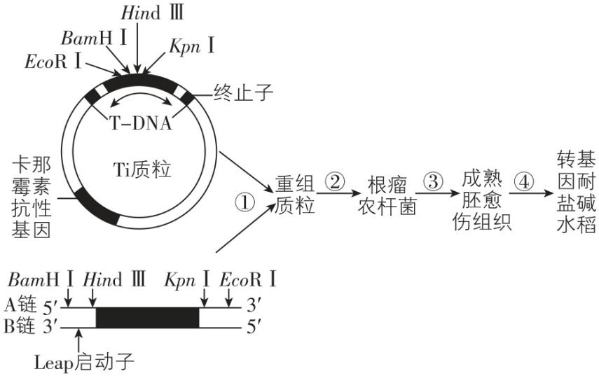 试题资源网 https://stzy.com