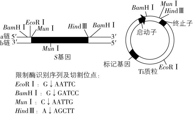试题资源网 https://stzy.com