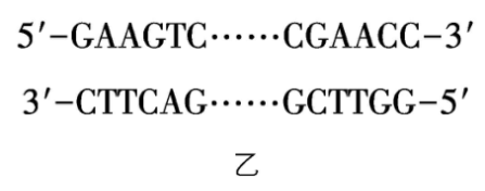 试题资源网 https://stzy.com