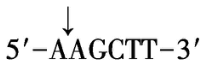 试题资源网 https://stzy.com