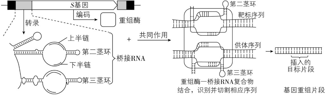 试题资源网 https://stzy.com