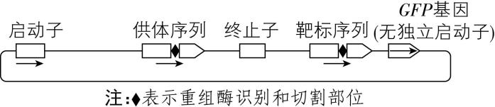 试题资源网 https://stzy.com