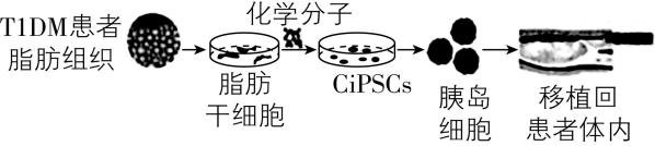 试题资源网 https://stzy.com