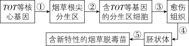 试题资源网 https://stzy.com