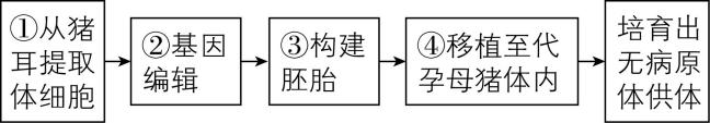 试题资源网 https://stzy.com