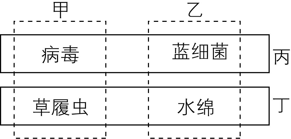 试题资源网 https://stzy.com