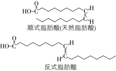 试题资源网 https://stzy.com