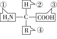试题资源网 https://stzy.com