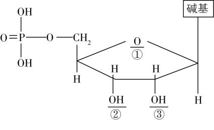 试题资源网 https://stzy.com