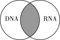 试题资源网 https://stzy.com