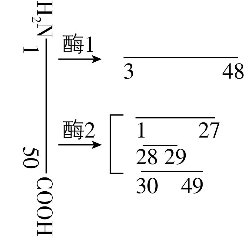 试题资源网 https://stzy.com
