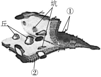 试题资源网 https://stzy.com