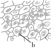 试题资源网 https://stzy.com