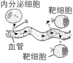 试题资源网 https://stzy.com