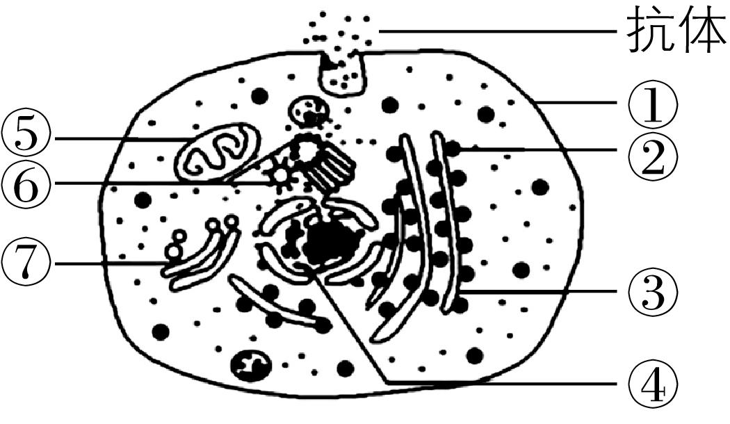 试题资源网 https://stzy.com