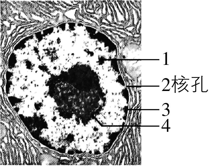 试题资源网 https://stzy.com