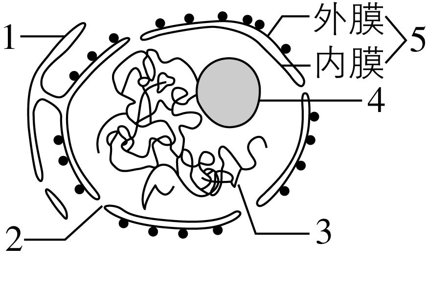 试题资源网 https://stzy.com