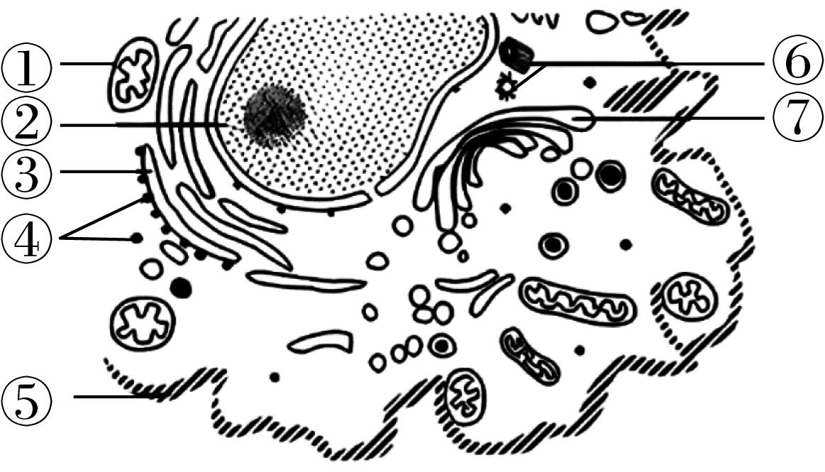 试题资源网 https://stzy.com