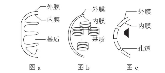 试题资源网 https://stzy.com