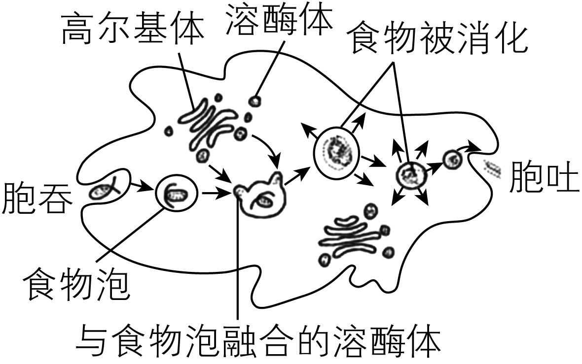试题资源网 https://stzy.com