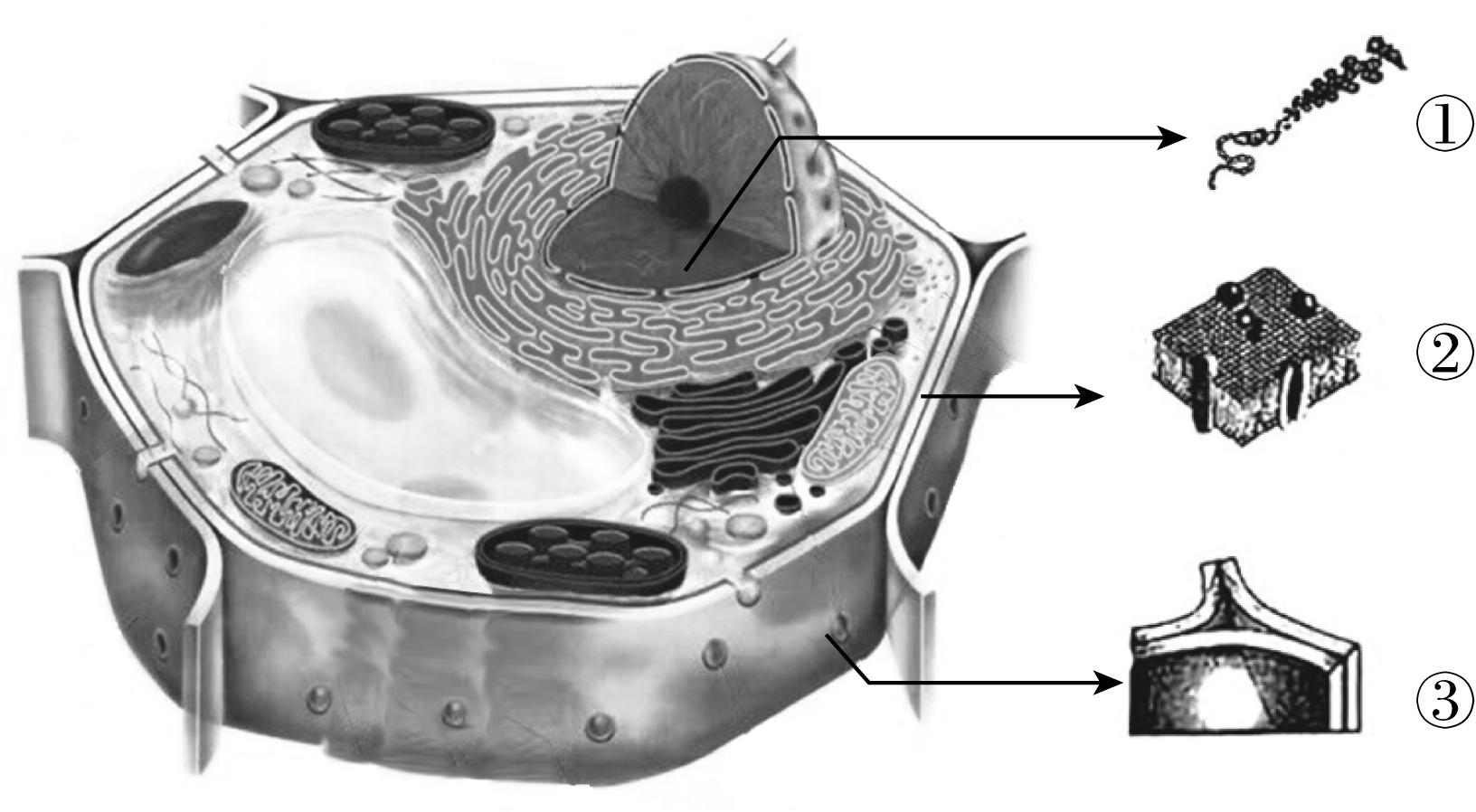 试题资源网 https://stzy.com