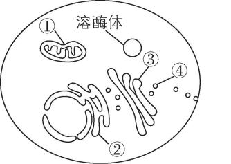 试题资源网 https://stzy.com