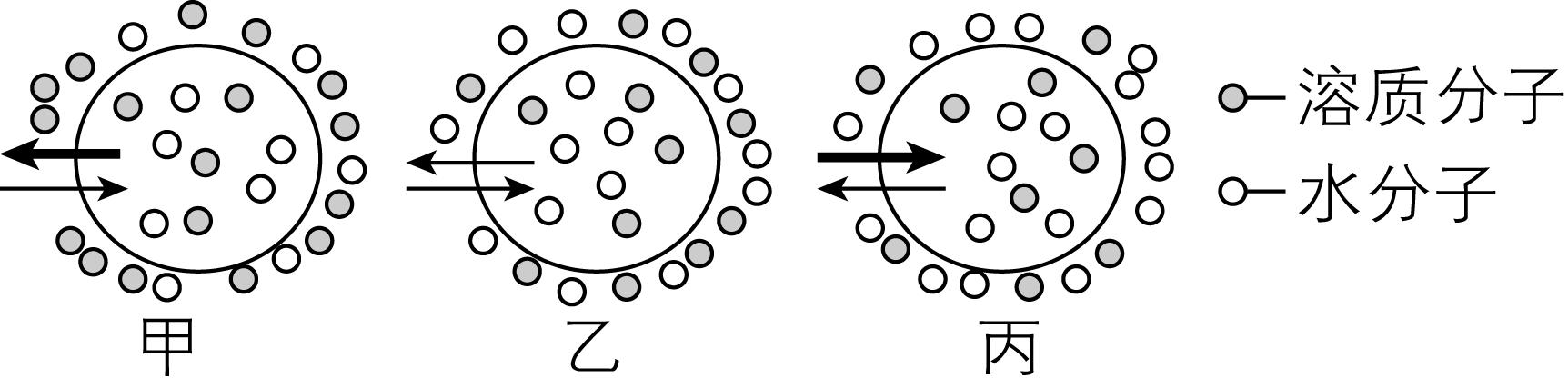 试题资源网 https://stzy.com