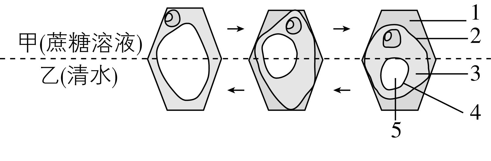 试题资源网 https://stzy.com