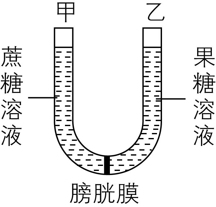 试题资源网 https://stzy.com