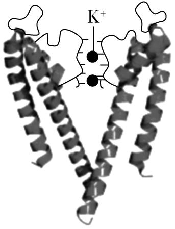 试题资源网 https://stzy.com