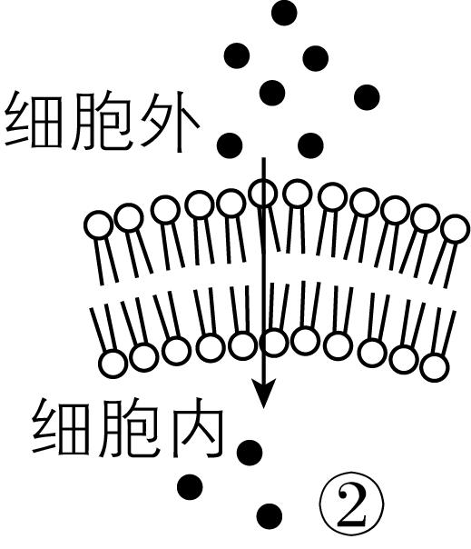 试题资源网 https://stzy.com
