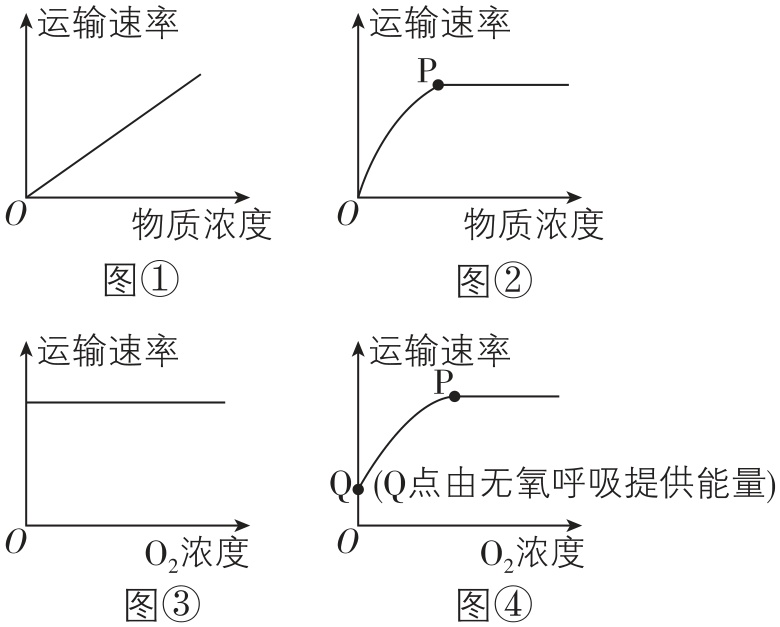 试题资源网 https://stzy.com