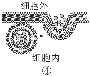 试题资源网 https://stzy.com