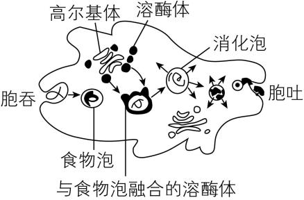 试题资源网 https://stzy.com