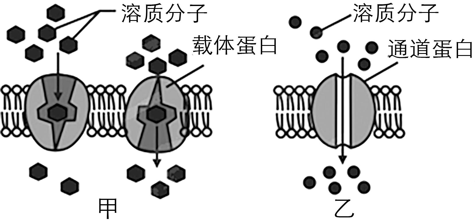 试题资源网 https://stzy.com