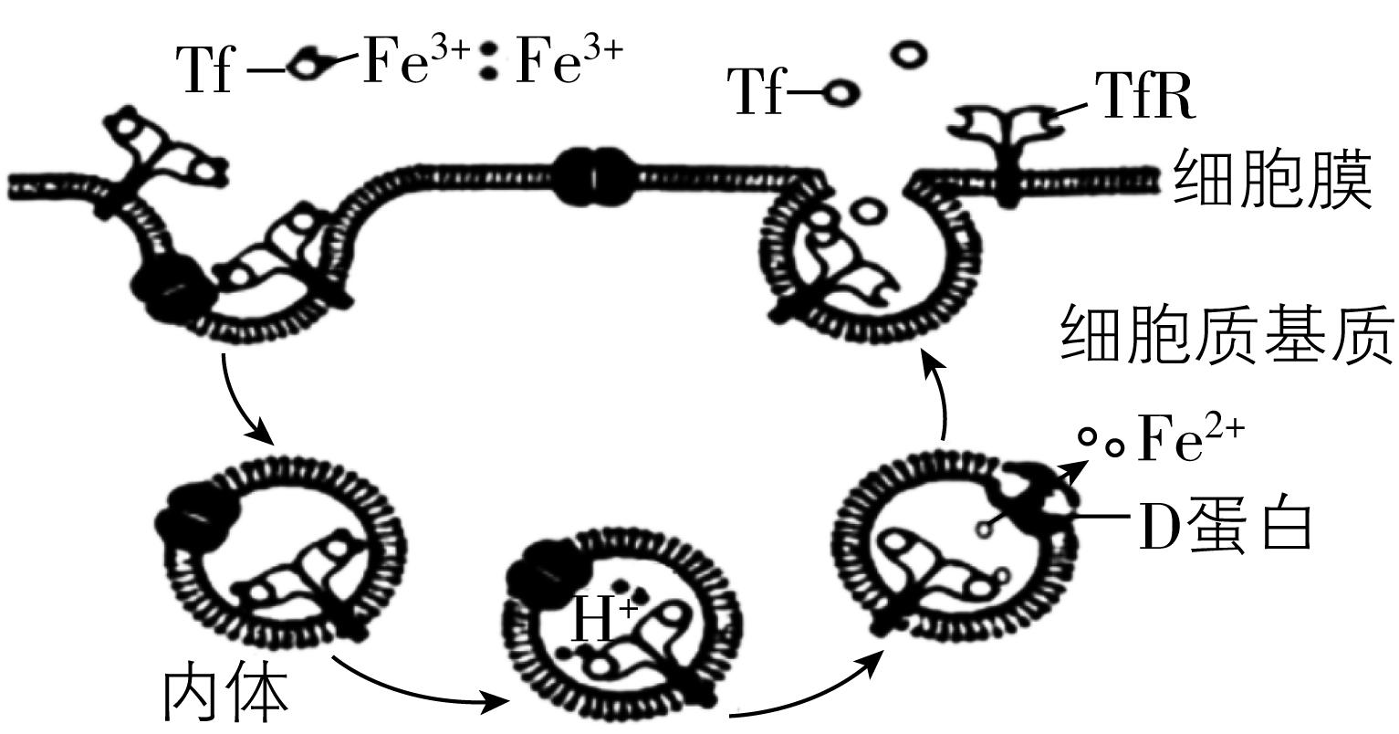 试题资源网 https://stzy.com