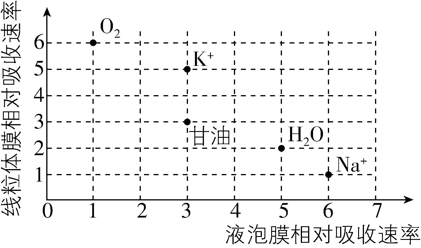 试题资源网 https://stzy.com