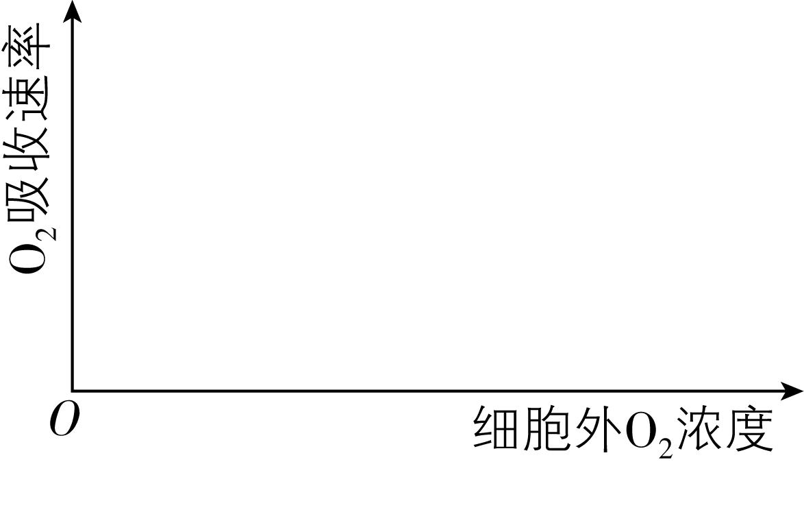 试题资源网 https://stzy.com