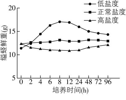 试题资源网 https://stzy.com