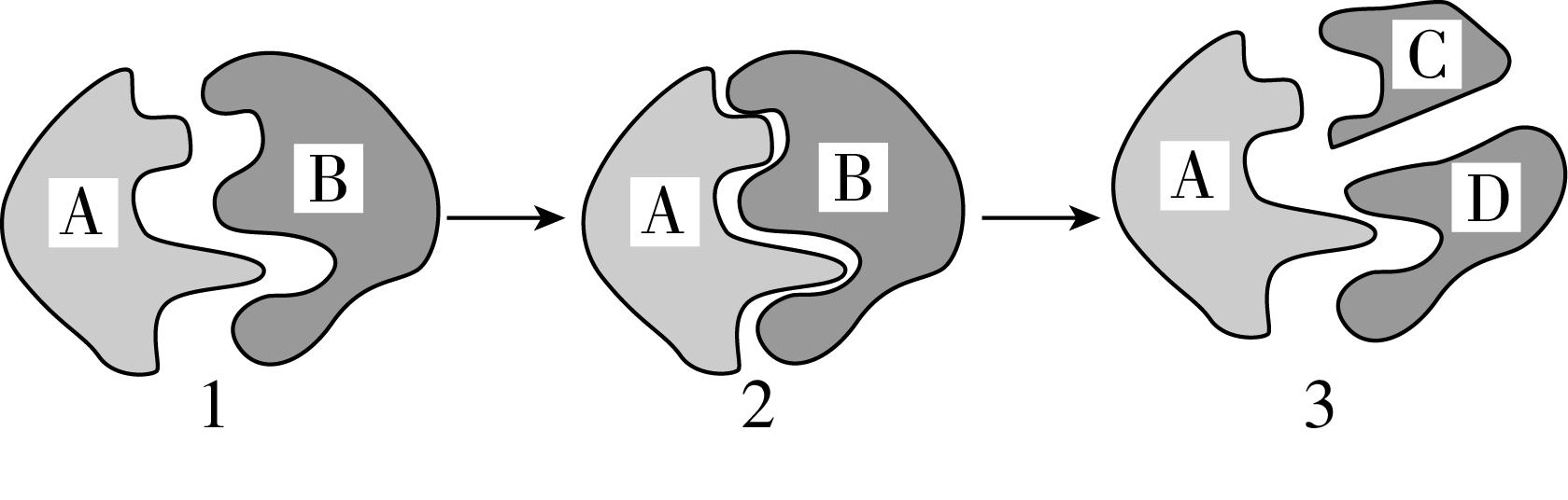 试题资源网 https://stzy.com